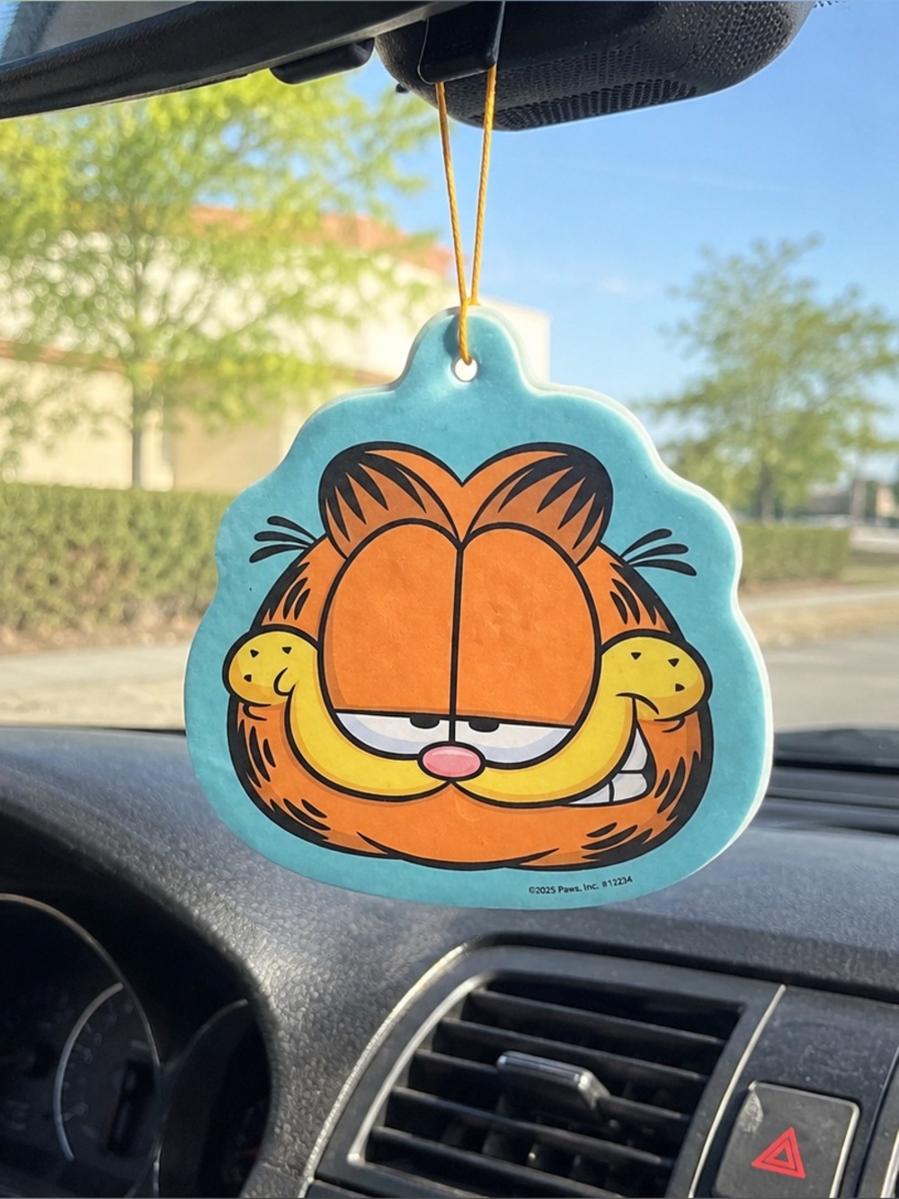Nickelodeon Garfield Cookie Scented Car Scents - Orange, Blue, Yellow
